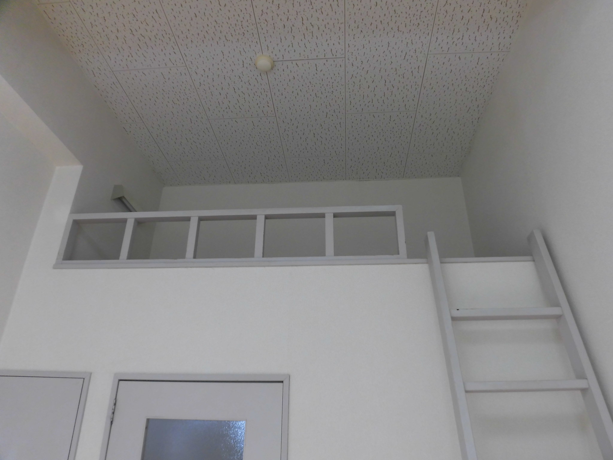 マウンテンセブン   202