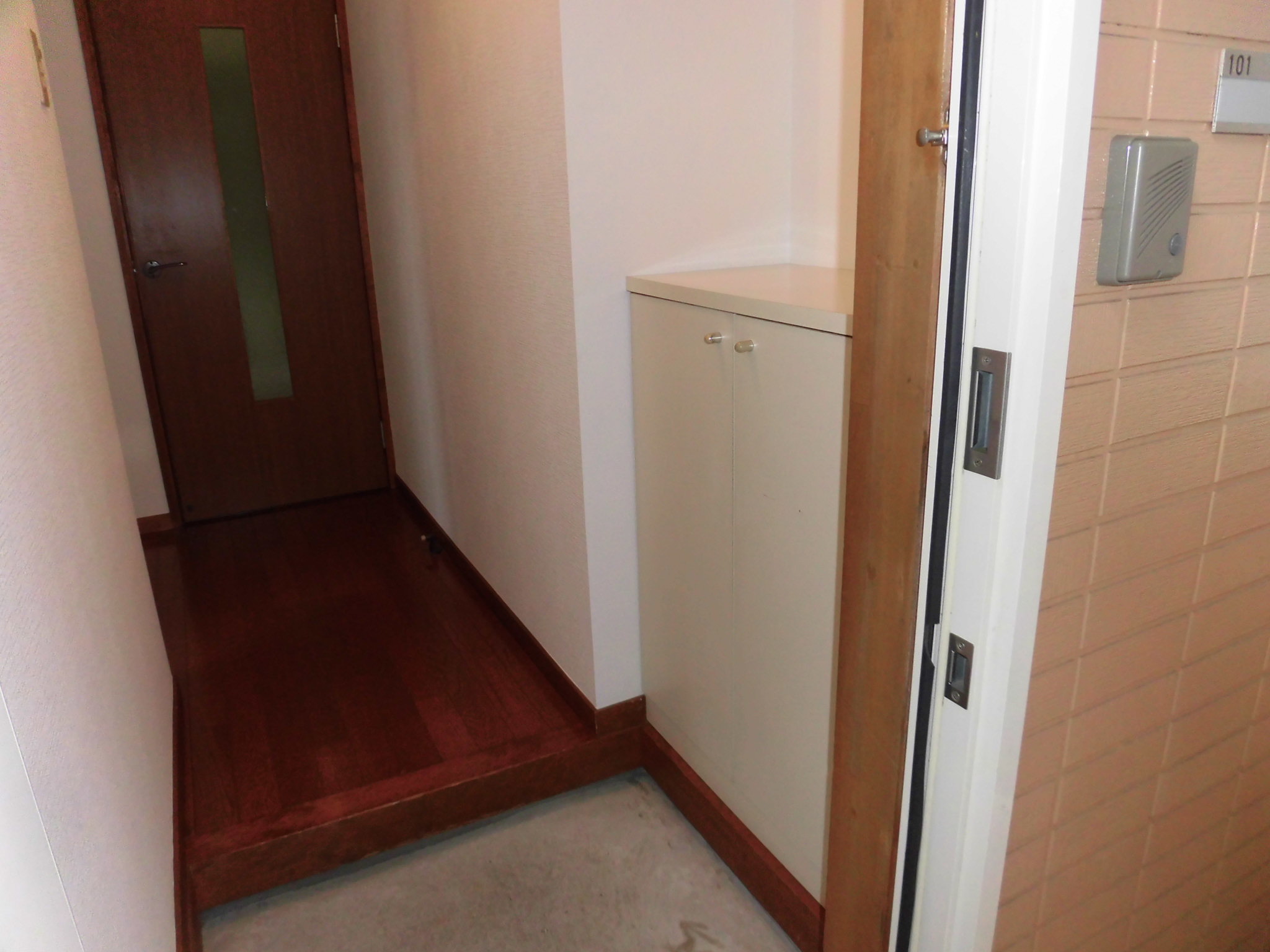 フロントヘルメス   202