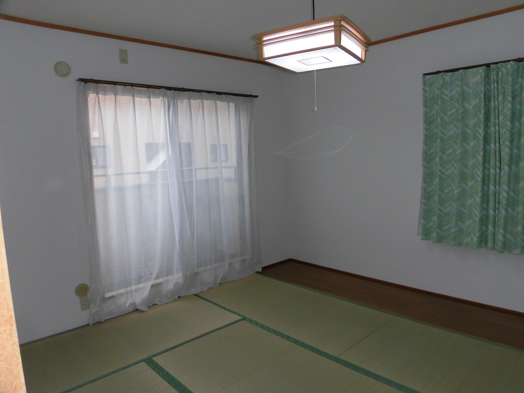 フロントヘルメス   202