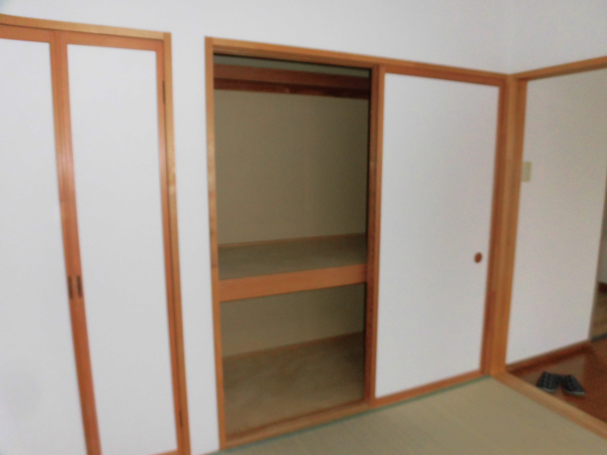 フロントヘルメス   202