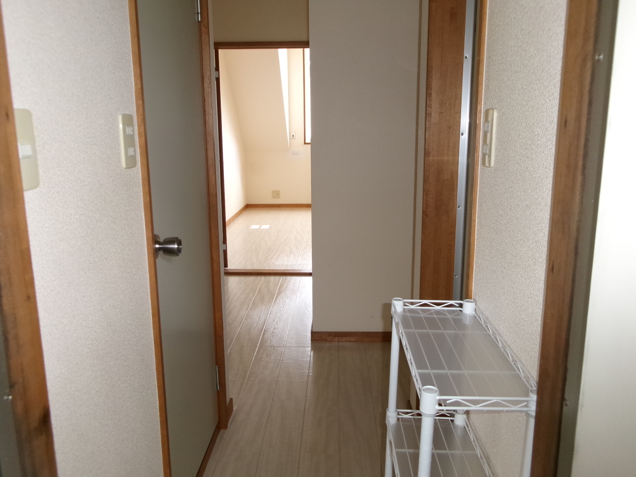 サン・ジュニア   213