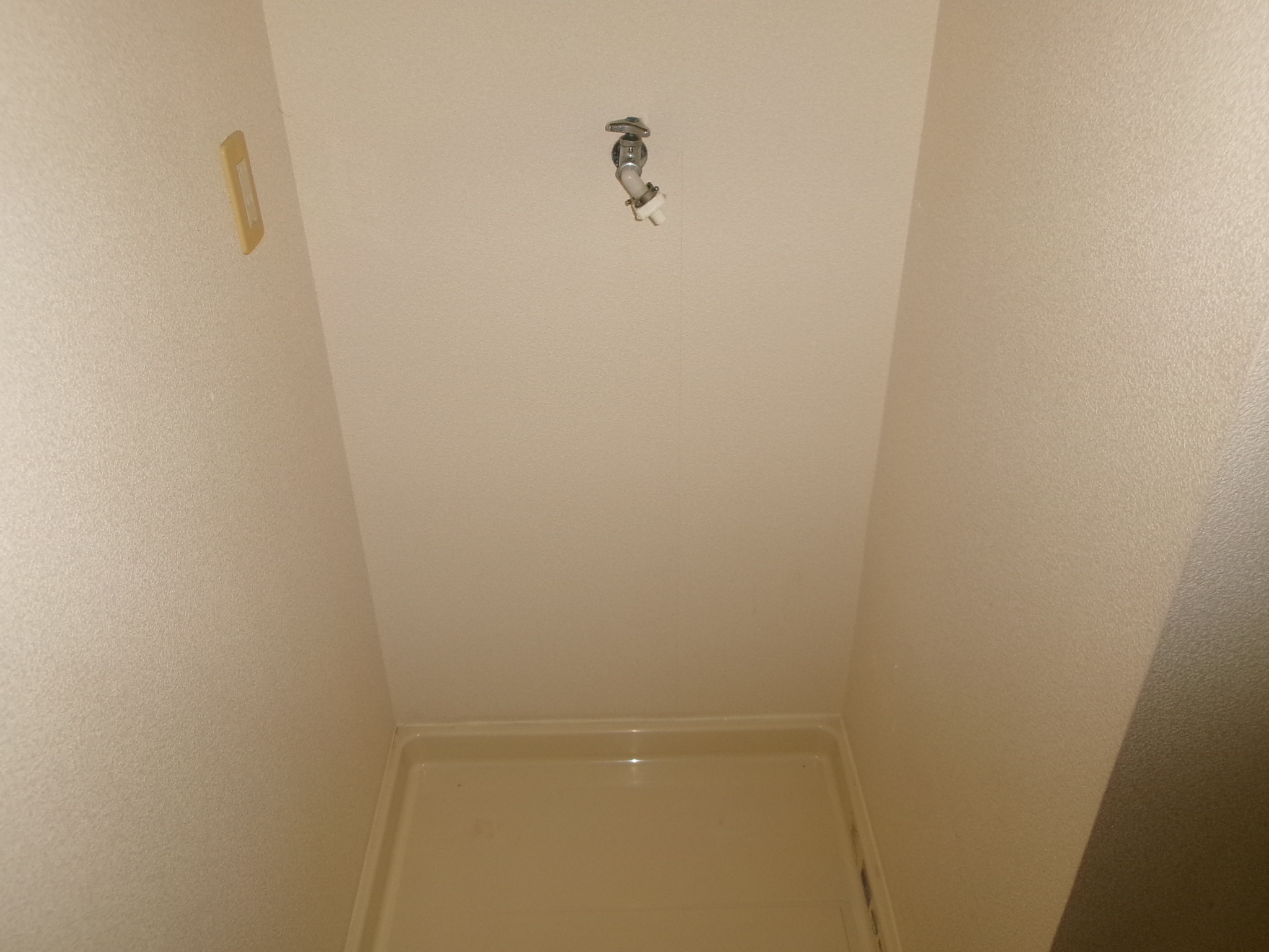 サン・ジュニア   213