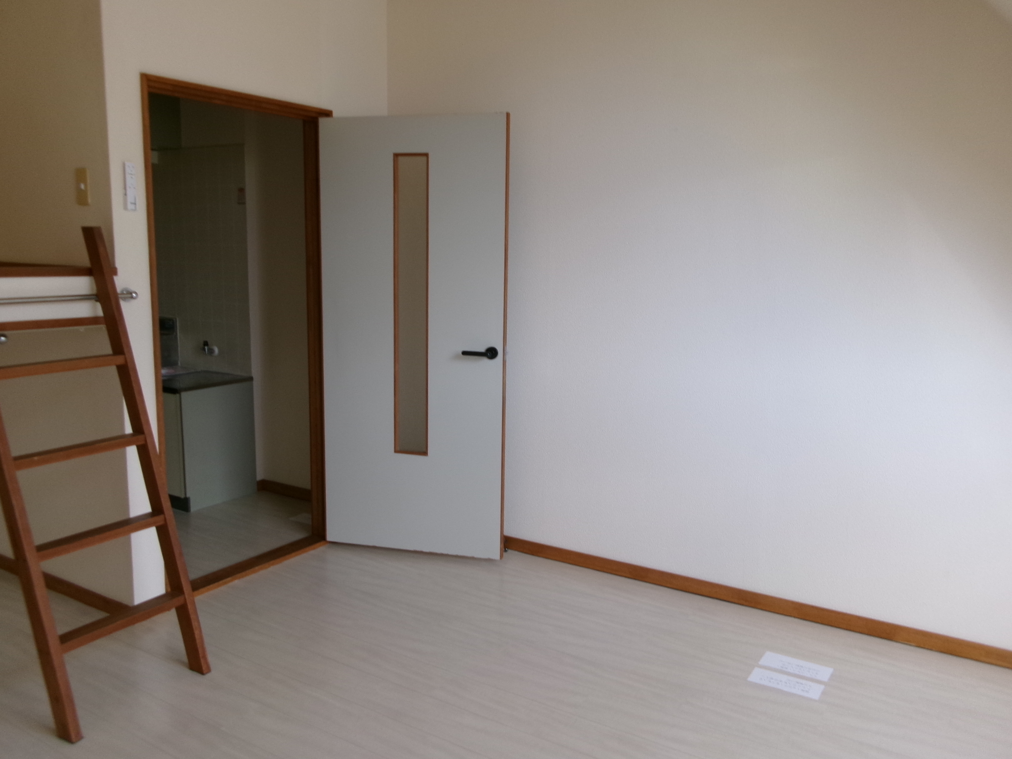 サン・ジュニア   213