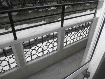 ダイヤモンドメゾン岩崎　Ａ棟   101