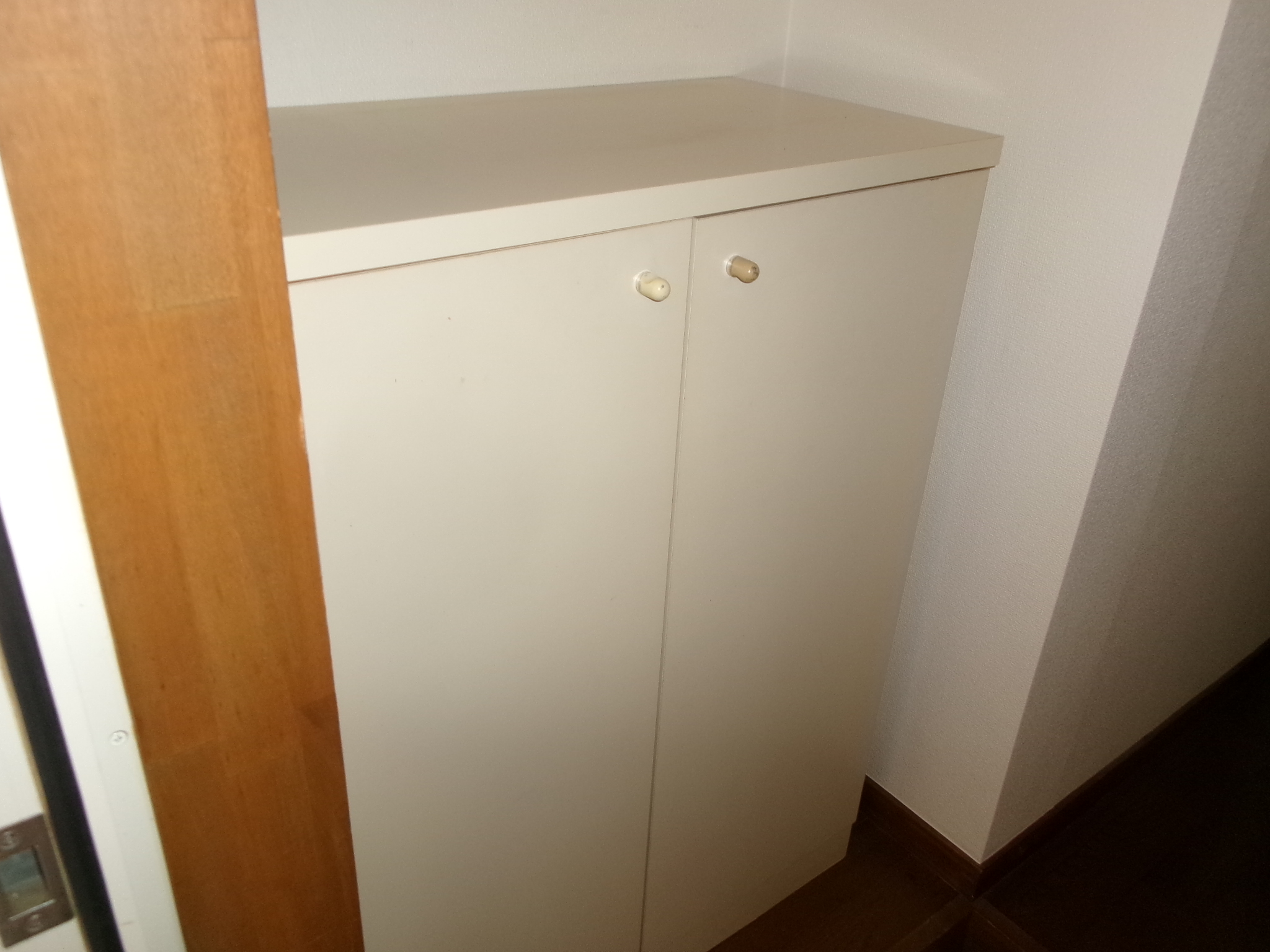 フロントヘルメス   205