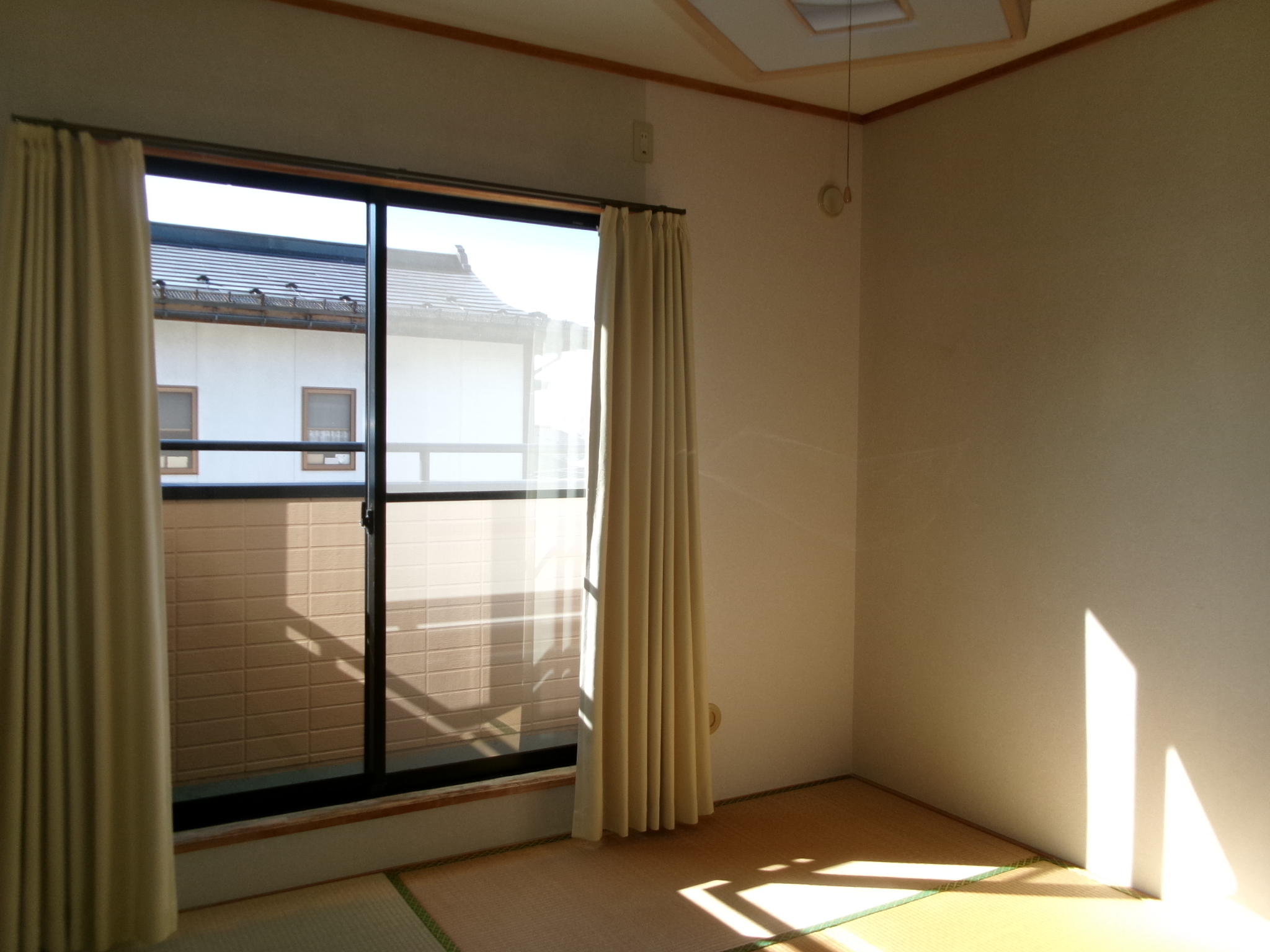 フロントヘルメス   205