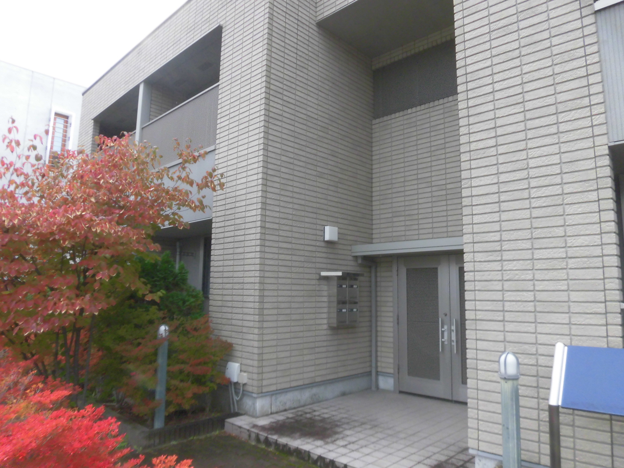 ベルリードフォーマルF　103号室