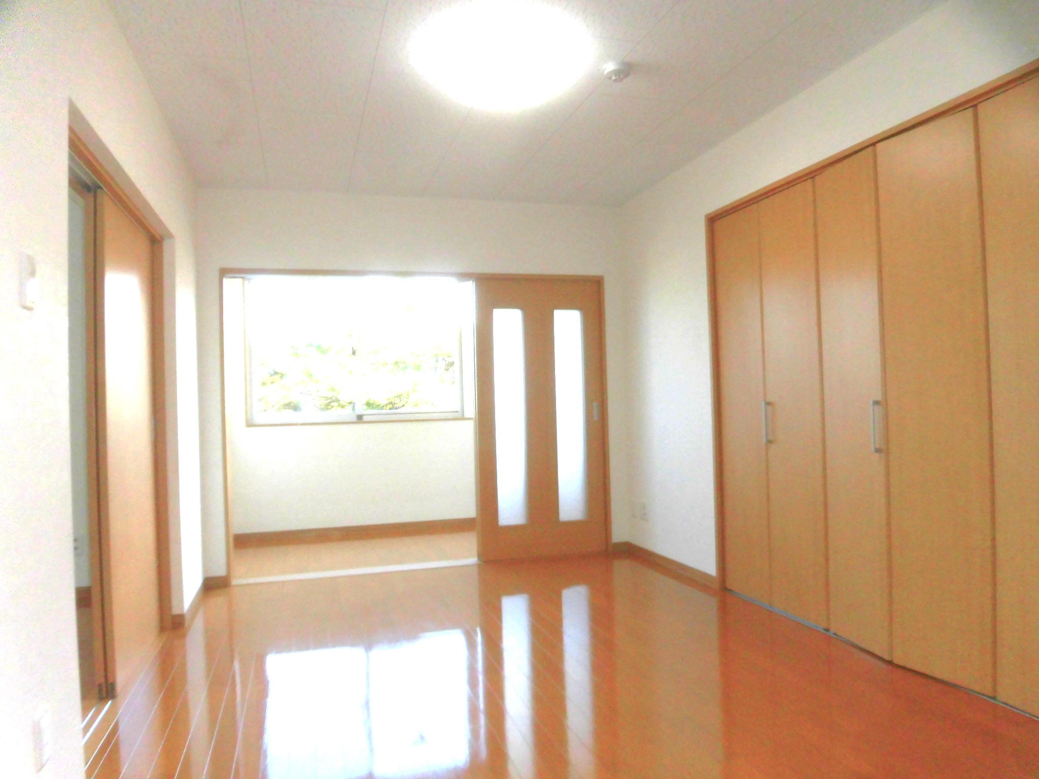 リュミエール　303