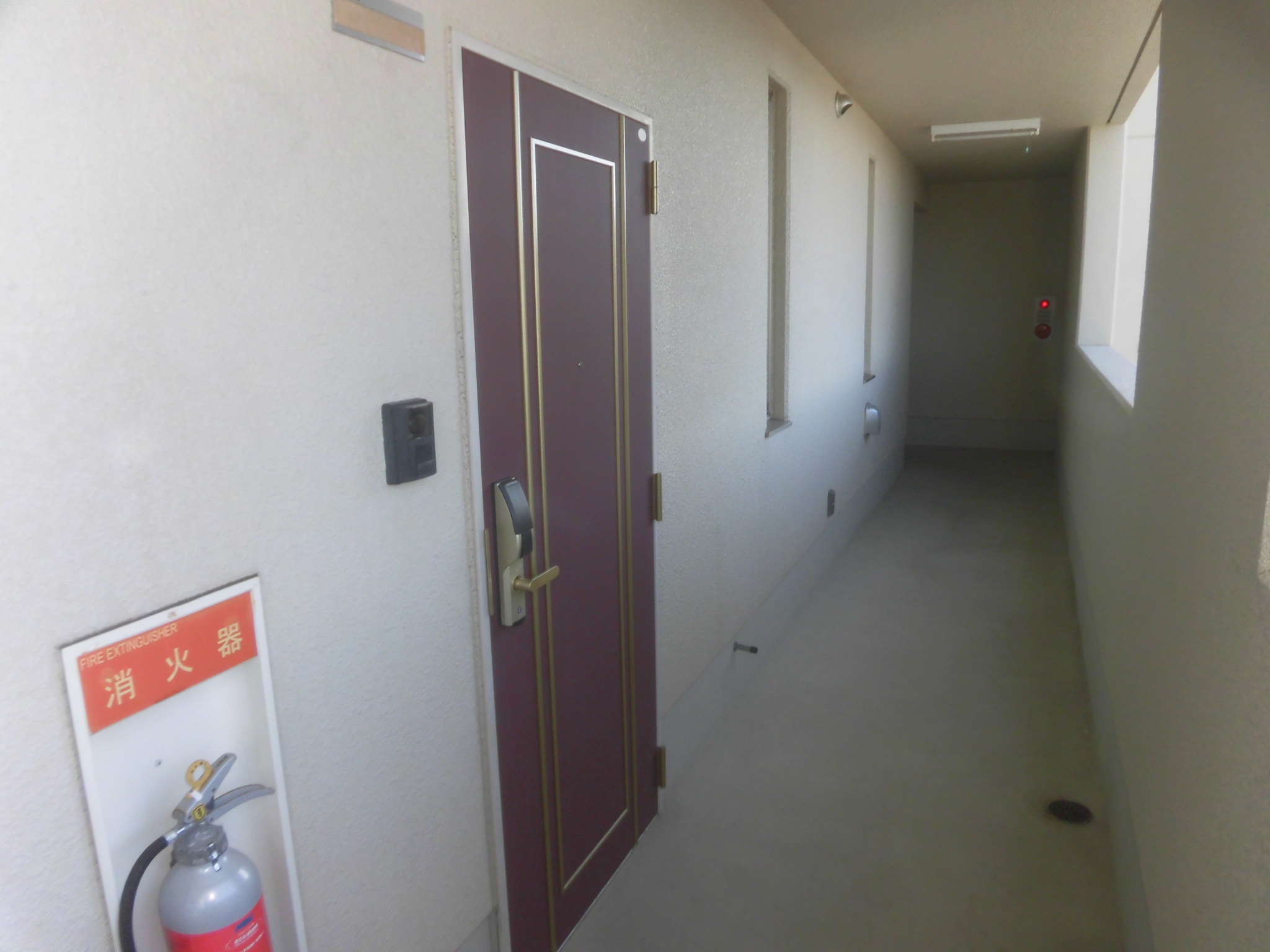 リュミエール　303