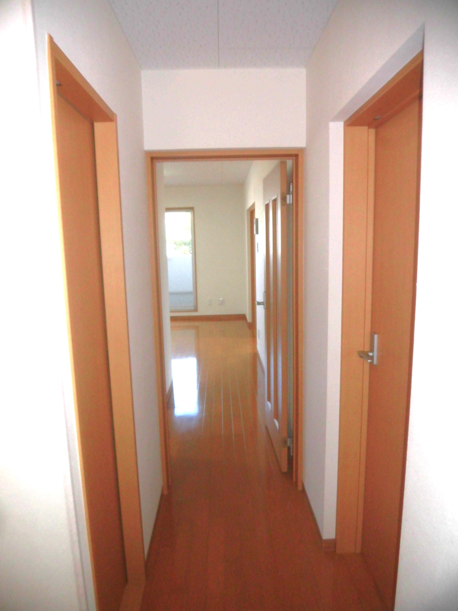 リュミエール　303